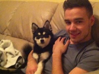 Liam und Loki